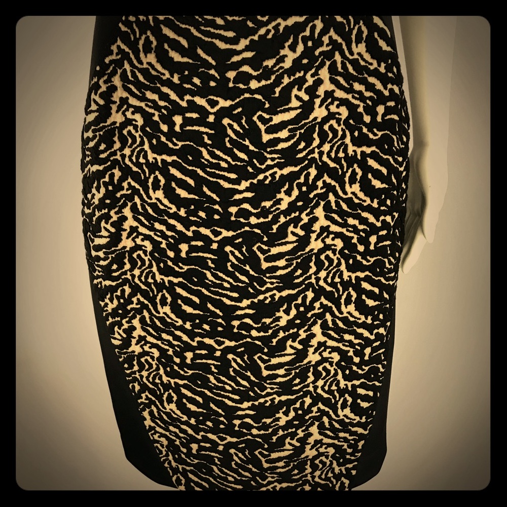 Sliming Dress Animal Print Front